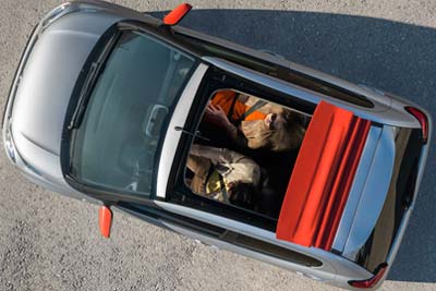 Citroen C1 - Customisable